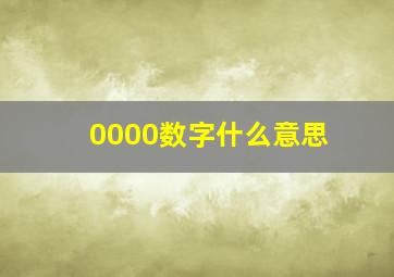 0000数字什么意思