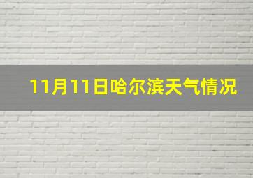 11月11日哈尔滨天气情况