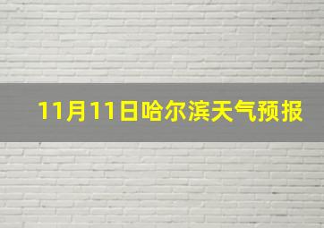 11月11日哈尔滨天气预报