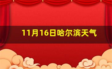 11月16日哈尔滨天气