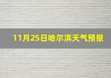 11月25日哈尔滨天气预报