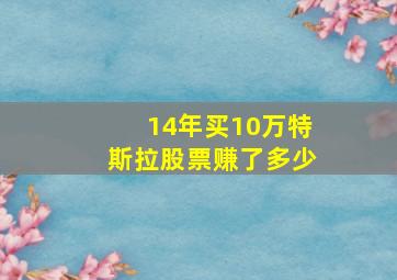 14年买10万特斯拉股票赚了多少