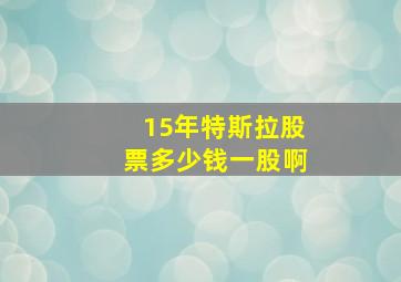 15年特斯拉股票多少钱一股啊