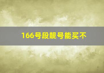 166号段靓号能买不