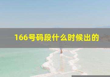 166号码段什么时候出的