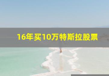 16年买10万特斯拉股票