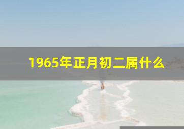 1965年正月初二属什么