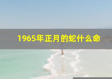 1965年正月的蛇什么命