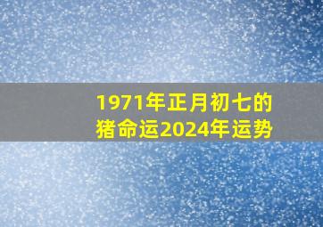 1971年正月初七的猪命运2024年运势