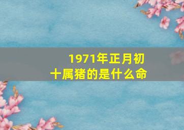 1971年正月初十属猪的是什么命