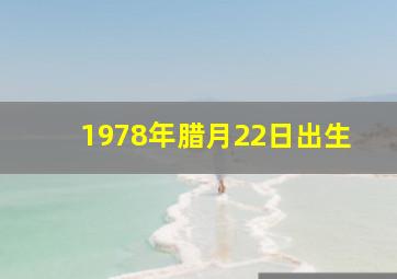 1978年腊月22日出生