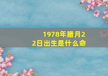 1978年腊月22日出生是什么命