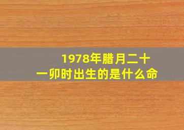 1978年腊月二十一卯时出生的是什么命