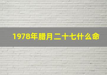 1978年腊月二十七什么命