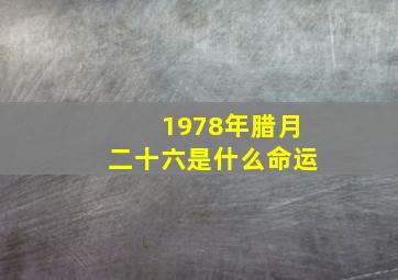 1978年腊月二十六是什么命运