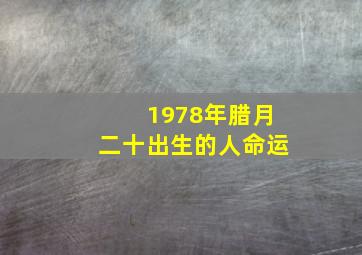 1978年腊月二十出生的人命运