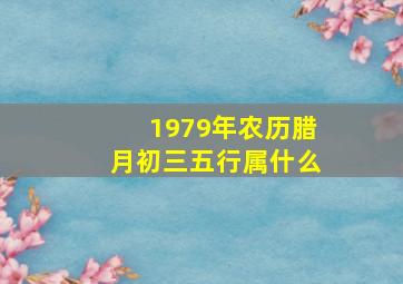 1979年农历腊月初三五行属什么