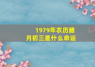 1979年农历腊月初三是什么命运