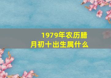 1979年农历腊月初十出生属什么