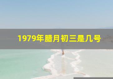 1979年腊月初三是几号