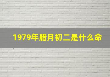 1979年腊月初二是什么命