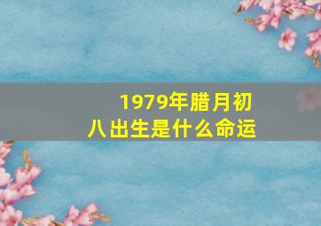 1979年腊月初八出生是什么命运