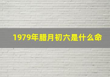 1979年腊月初六是什么命