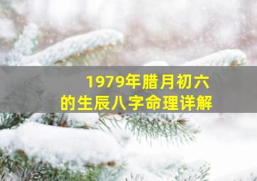 1979年腊月初六的生辰八字命理详解