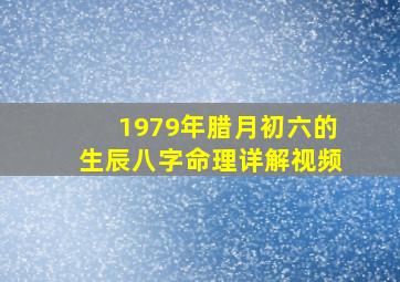 1979年腊月初六的生辰八字命理详解视频