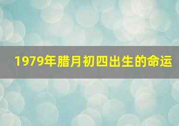 1979年腊月初四出生的命运