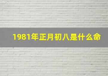 1981年正月初八是什么命