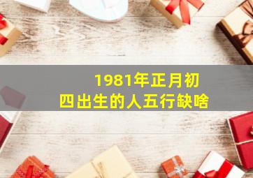 1981年正月初四出生的人五行缺啥