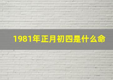 1981年正月初四是什么命