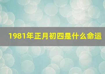 1981年正月初四是什么命运