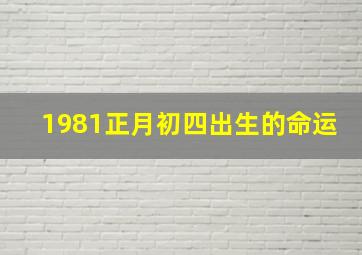 1981正月初四出生的命运