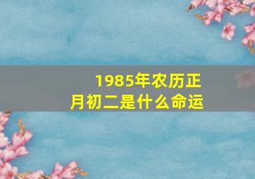 1985年农历正月初二是什么命运