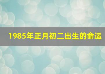 1985年正月初二出生的命运