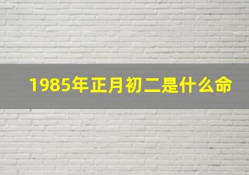 1985年正月初二是什么命