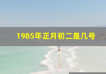 1985年正月初二是几号