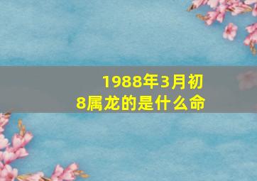 1988年3月初8属龙的是什么命