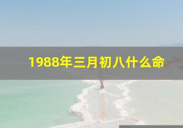 1988年三月初八什么命