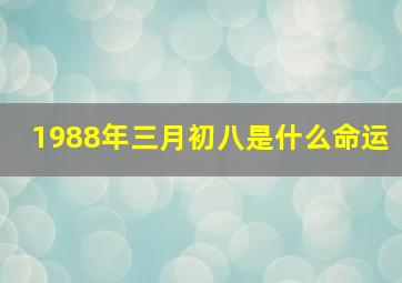 1988年三月初八是什么命运