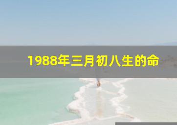 1988年三月初八生的命