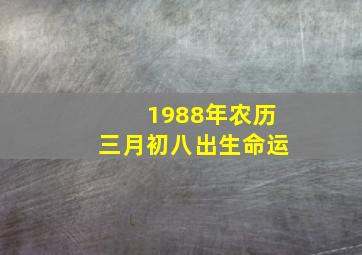 1988年农历三月初八出生命运