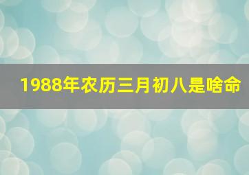 1988年农历三月初八是啥命