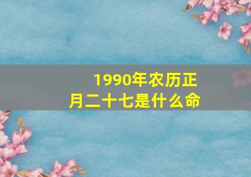 1990年农历正月二十七是什么命