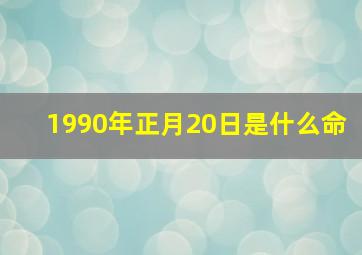 1990年正月20日是什么命