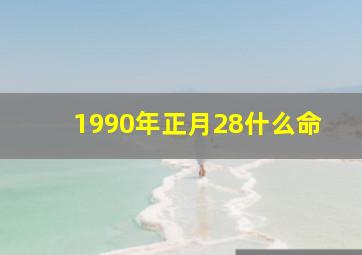 1990年正月28什么命