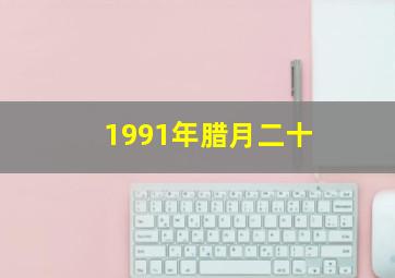 1991年腊月二十