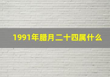 1991年腊月二十四属什么